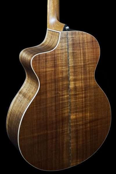 VTP Series Blackwood guitar