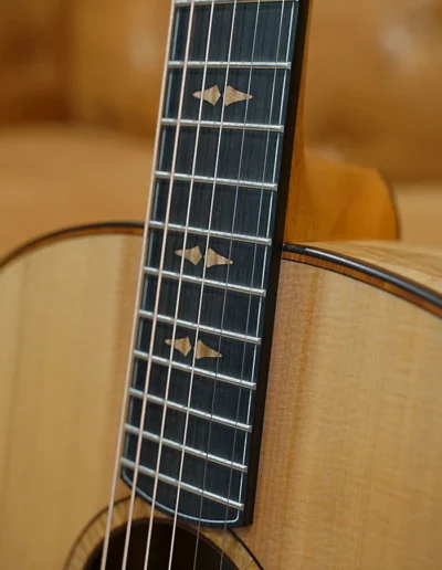 Maker's Choice V-Ebony Fingerboard Moutain Ash Inlays