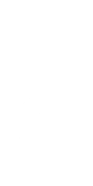 Fenech D78 12 String