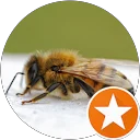 MATTHEW BURTON profile picture